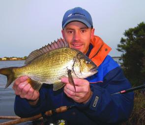 Brent Hodges with a bream taken from the shore on a quiver-tip rod baited with a live Bass yabby during an early morning high tide at Lakers Cutting. 